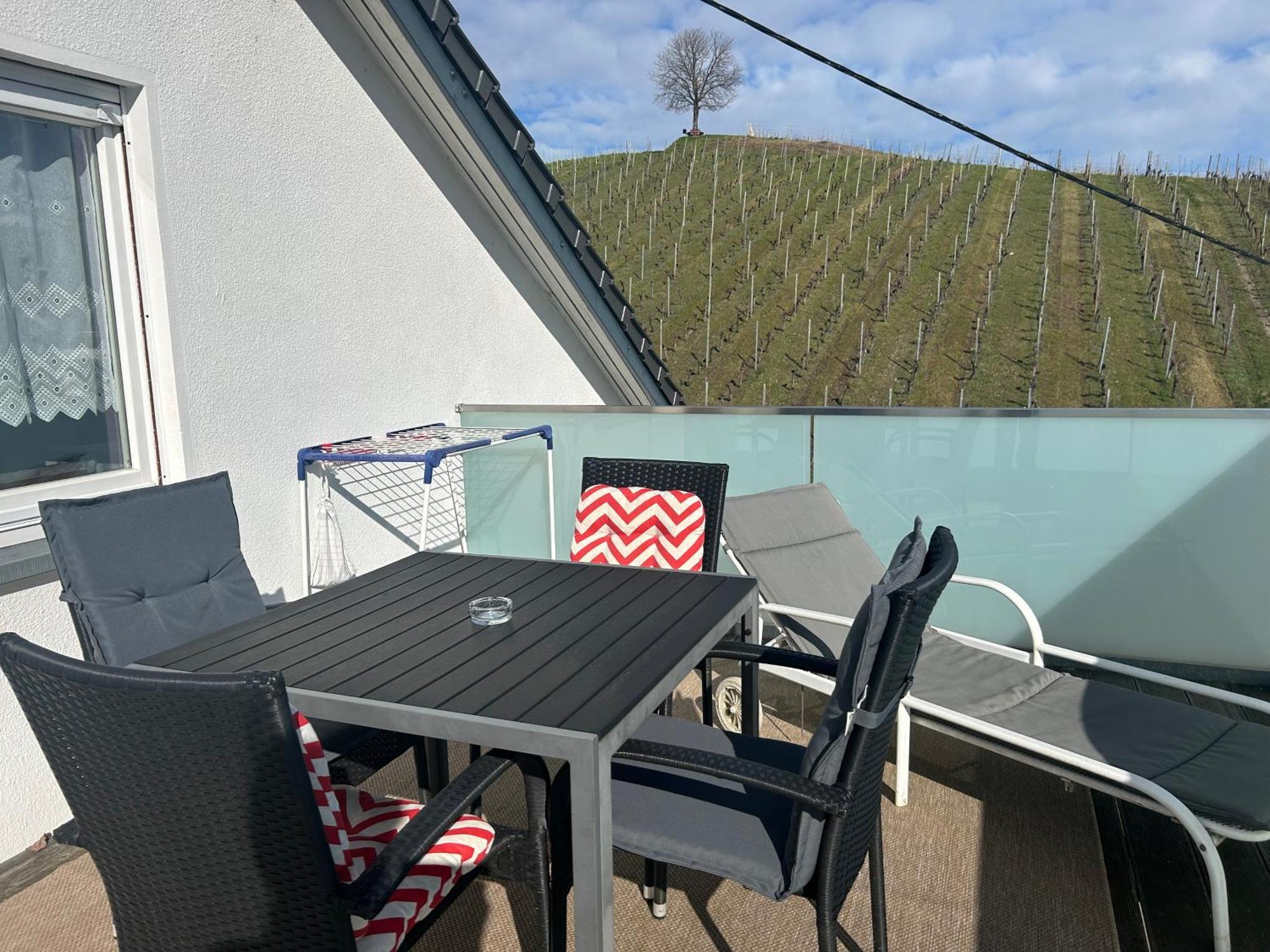 Gaestehaus Sommertal Mit Pool Im Garten, Eigener Parkplatz, 800M Zum Bodensee, 300M Zur Altstadt Meersburg Kültér fotó