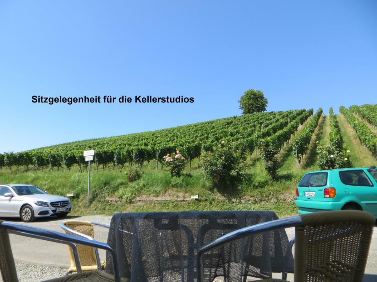 Gaestehaus Sommertal Mit Pool Im Garten, Eigener Parkplatz, 800M Zum Bodensee, 300M Zur Altstadt Meersburg Kültér fotó